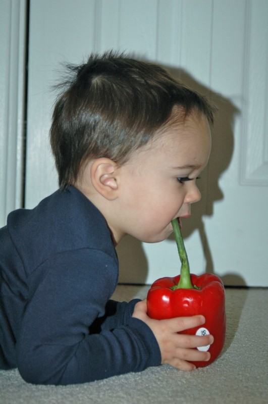 My Mini-Foodie Me DSC_3046