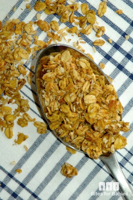 Pumpkin Coconut Granola