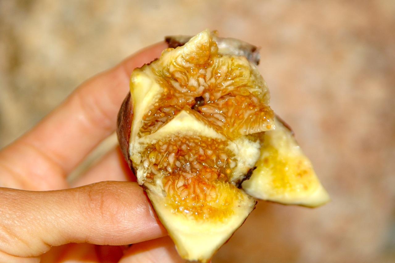 How to Peel and Prepare Fresh Figs Bites for Foodies