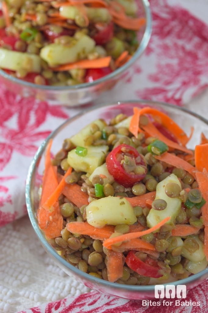 Fresh Lentil Salad Bites for Foodies