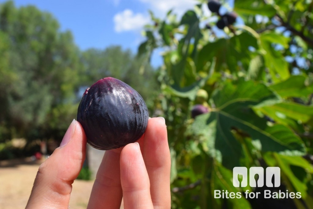 How to Peel and Prepare Fresh Figs