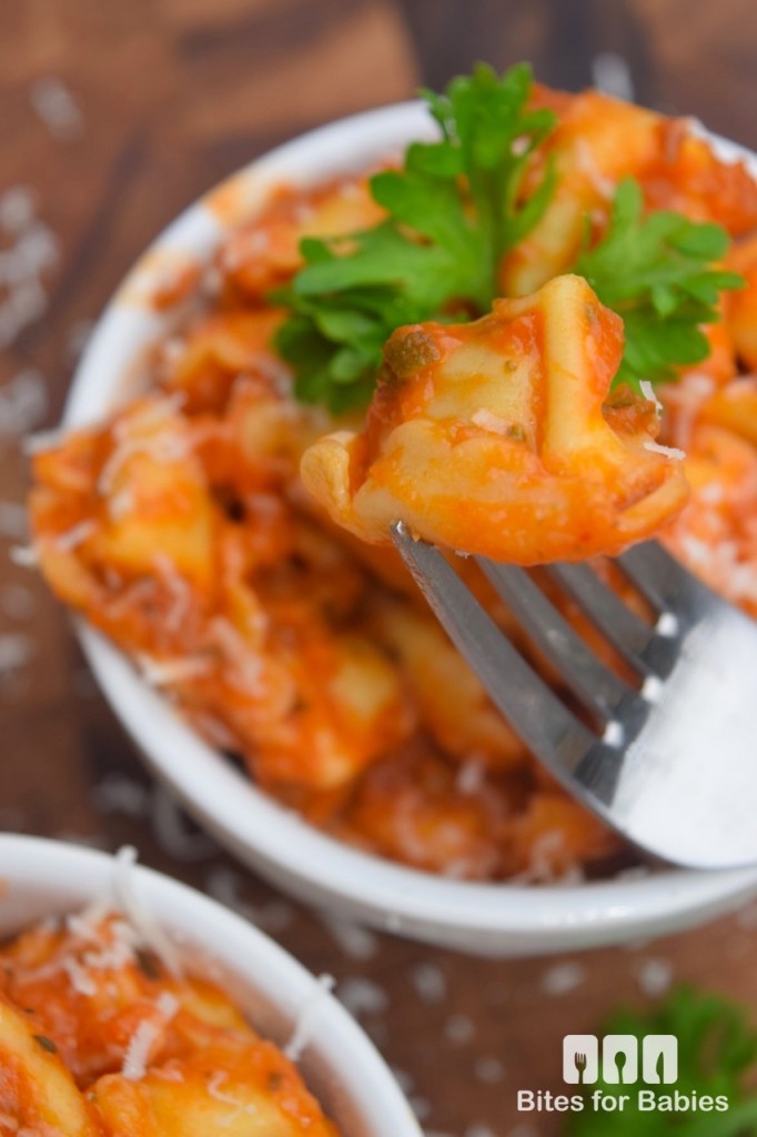 Tortellini with Zucchini Tomato Sauce 