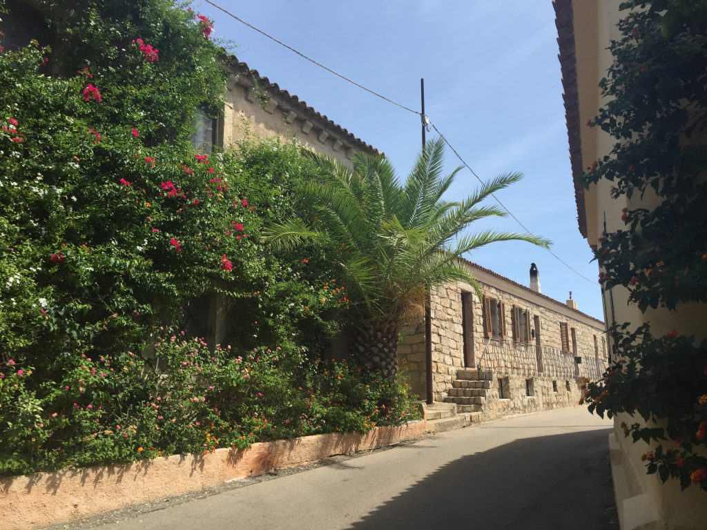 San Pantaleo Market