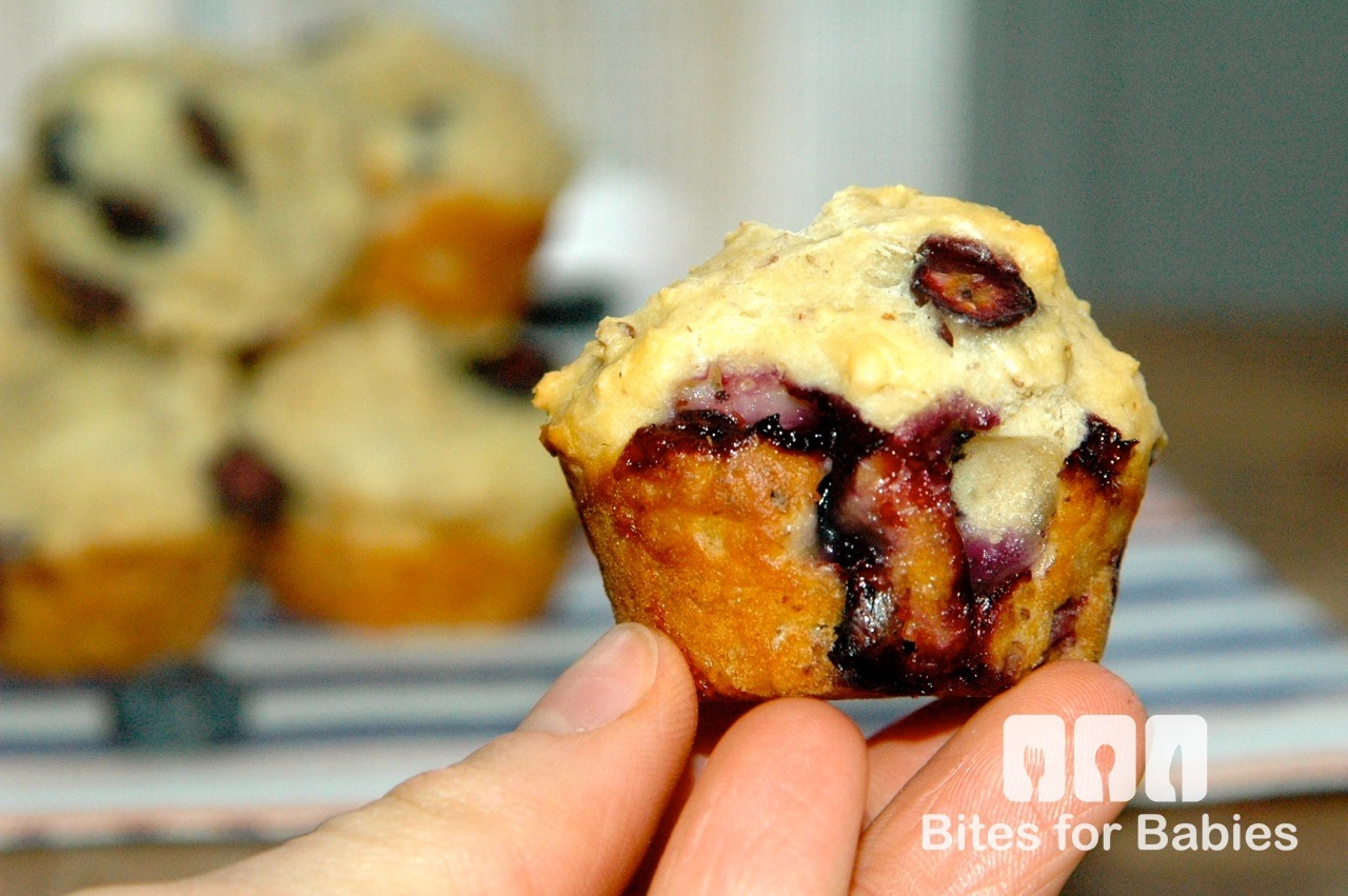 Blueberry Mini Muffins
