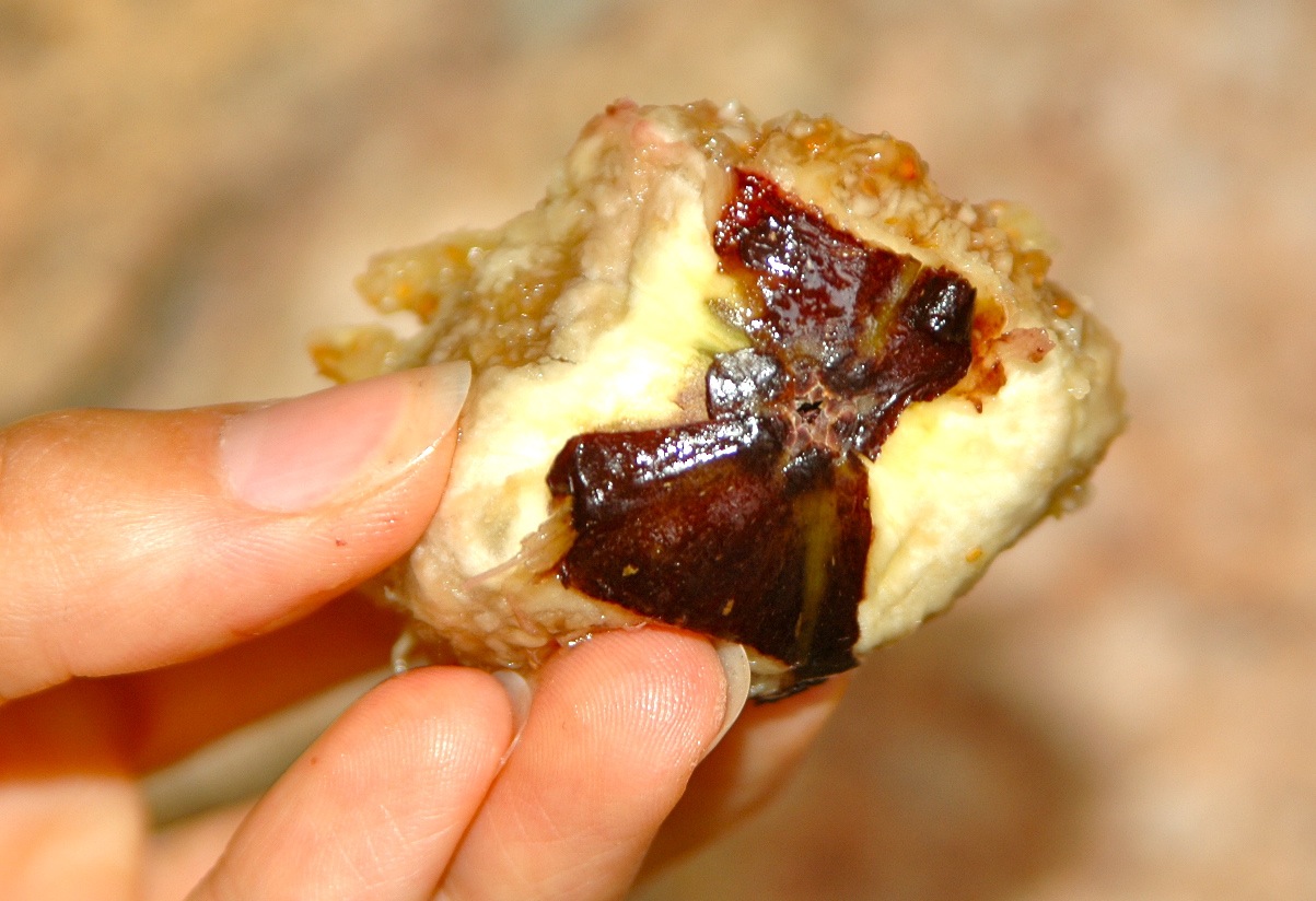 How to Peel and Prepare Fresh Figs Bites for Foodies