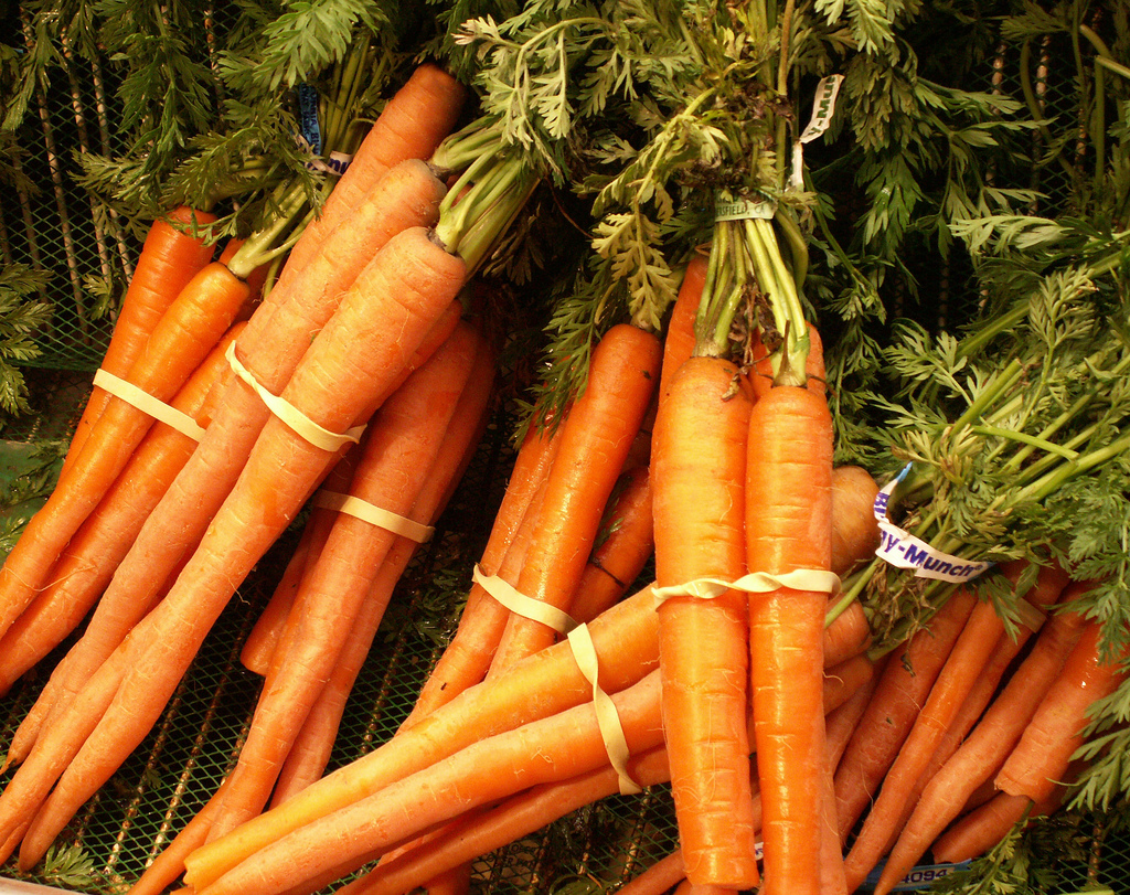 Top 5 Carrot Recipes