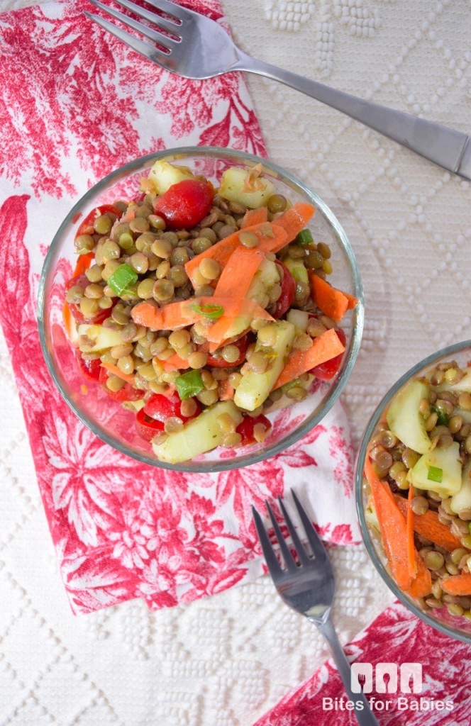 Fresh Lentil Salad Bites for Foodies