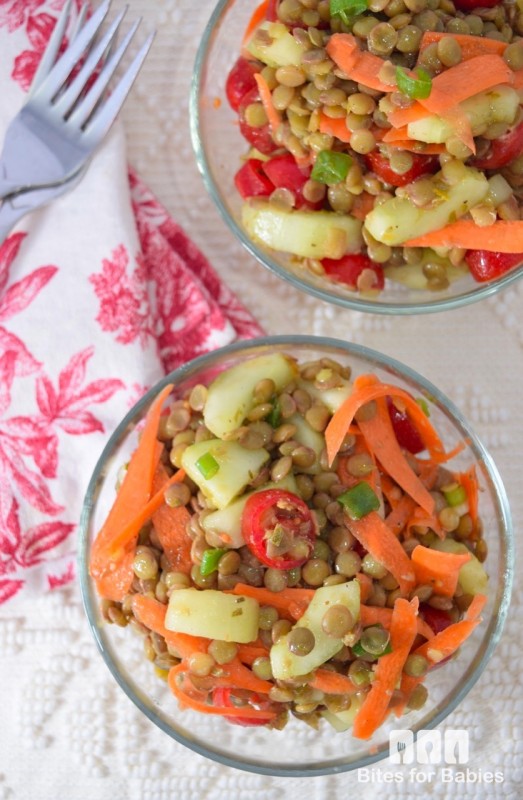 Fresh Lentil Salad Bites for Foodies