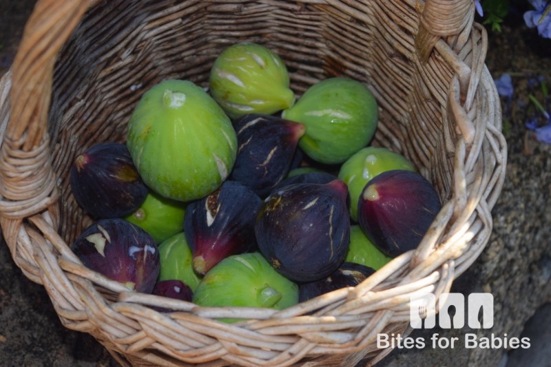 How to Peel and Prepare Fresh Figs Bites for Foodies